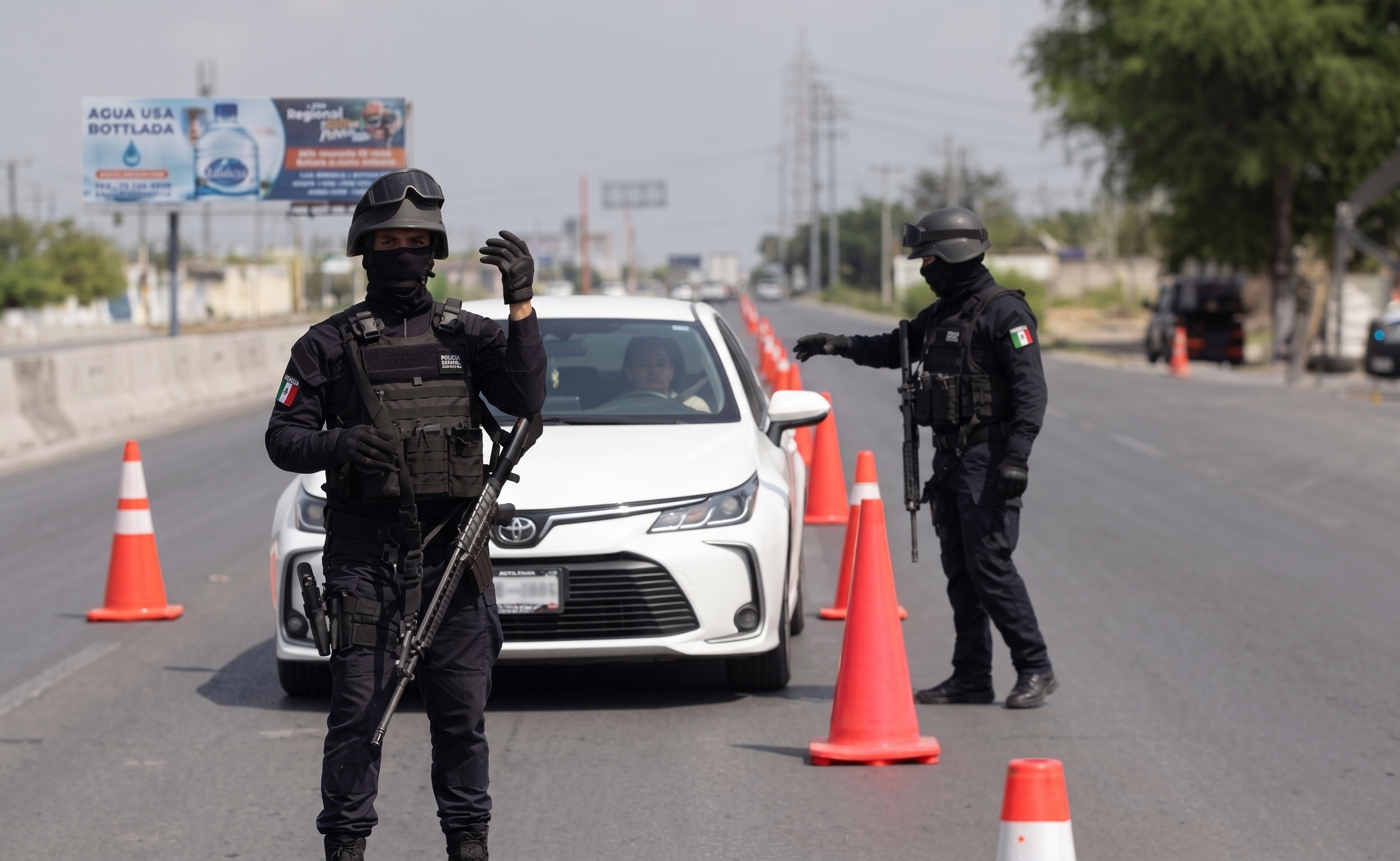 Control preventivo provisional realizado por la policía en vía pública